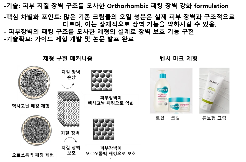 피부장벽 지질 패킹 구조 분석