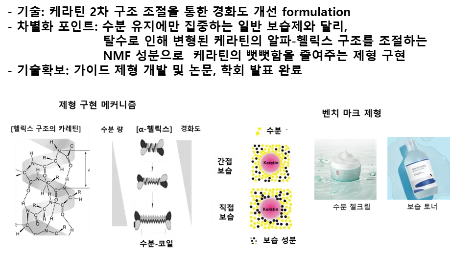 각질 케라틴 경화도 구조 분석